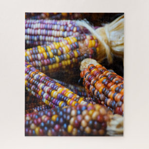 Rainbow Corn Cobs Colors of Fall - 16x20 - 520 Stk Puzzle
