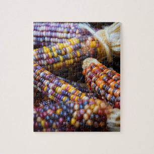 Rainbow Corn Cobs - Herbstfarben - 8x10 - 110 pc Puzzle