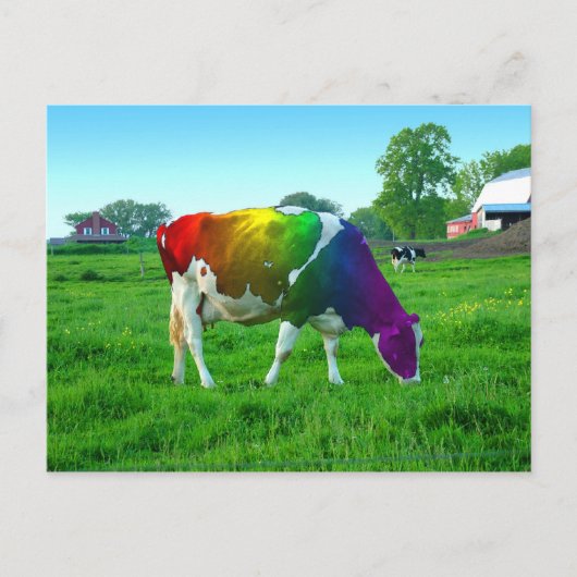 Rainbow Cow Postkarte (Vorderseite)