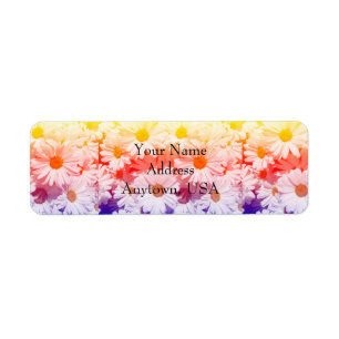 Rainbow Daisies