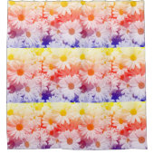 Rainbow Daisies Duschvorhang (Vorderseite)