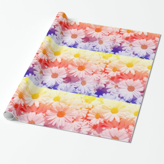 Rainbow Daisies Geschenkpapier (Ungerollt)