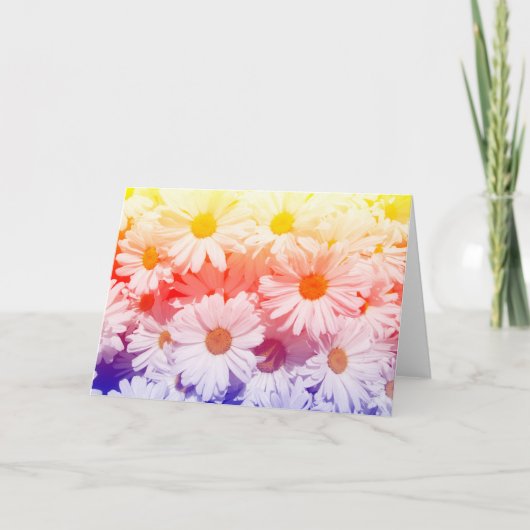 Rainbow Daisies Karte (Vorderseite)
