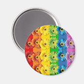 Rainbow Daisies Magnet (Vorderseite/Rückseite)