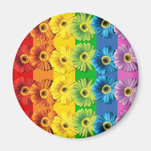 Rainbow Daisies Magnet (Vorne)