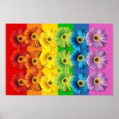 Rainbow Daisies Poster (Vorne)