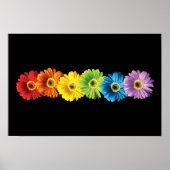 Rainbow Daisies Poster (Vorne)