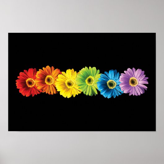 Rainbow Daisies Poster (Vorne)