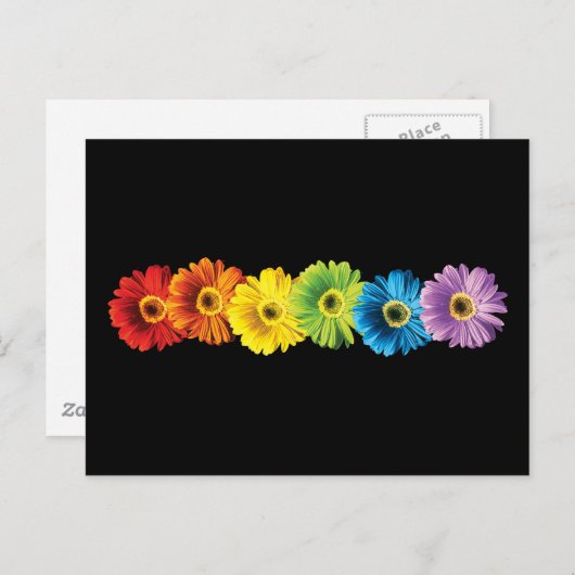 Rainbow Daisies Postkarte (Vorne/Hinten)