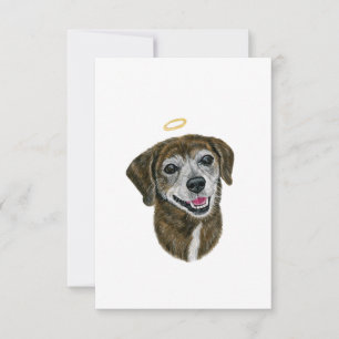 Rainbow Dog Sympathy Card Dankeskarte