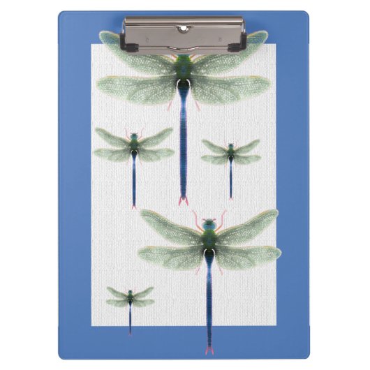 Rainbow Dragonfly Anpassbare Visitenkarten Klemmbrett (Vorderseite)