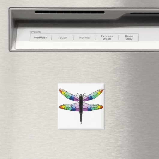 Rainbow Dragonfly-Magnet Magnet (In Situ (Geschirrspüler))