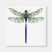 Rainbow Dragonfly Square Magnet (Vorne)