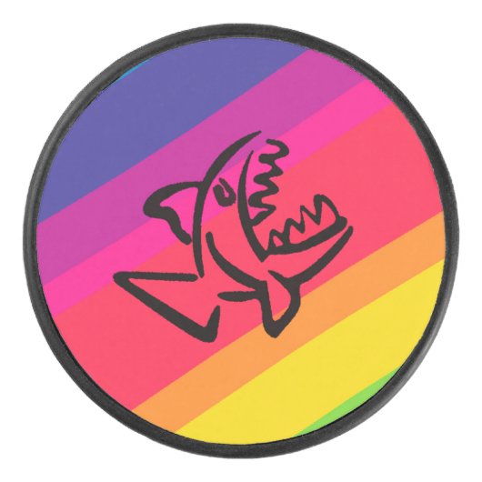 Rainbow Eishockey Puck (Vorderseite)