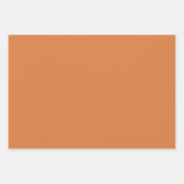 Rainbow Elephants Muster Wrapping Paper Sheets Geschenkpapier Set (Vorderseite 3)