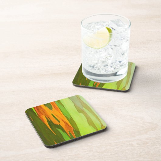 Rainbow Eucalyptus bellen, Hawaii Getränkeuntersetzer (Rechte Seite)