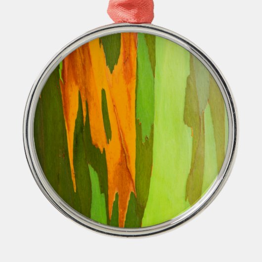 Rainbow Eucalyptus bellen, Hawaii Silbernes Ornament (Vorne)
