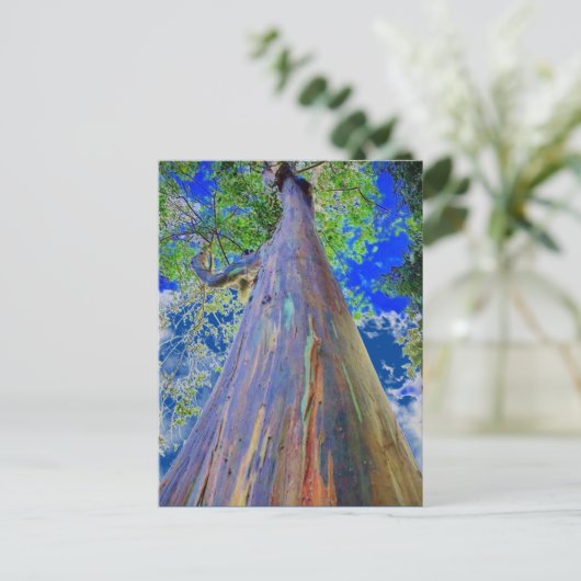 Rainbow Eucalyptus Postkarte (Stehend Vorderseite)