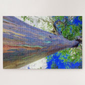 Rainbow Eucalyptus Puzzle (Horizontal)