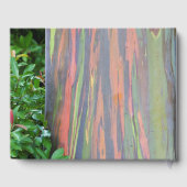 Rainbow Eucalyptus Tree Gästebuch (Rückseite)