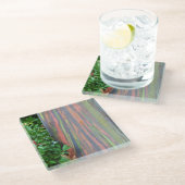 Rainbow Eucalyptus Tree Glasuntersetzer (Schrägansicht)