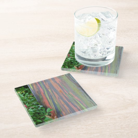 Rainbow Eucalyptus Tree Glasuntersetzer (Schrägansicht)