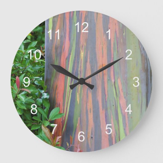 Rainbow Eucalyptus Tree Große Wanduhr (Vorderseite)