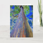 Rainbow Eucalyptus Tree Karte (Vorderseite)