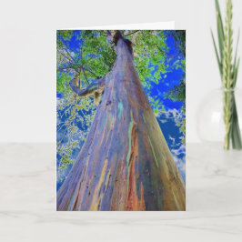 Rainbow Eucalyptus Tree Karte