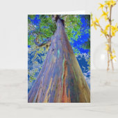 Rainbow Eucalyptus Tree Karte (Gelbe Blume)