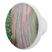 Rainbow Eucalyptus Tree Keramikknauf (Rechts)
