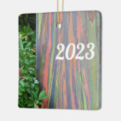 Rainbow Eucalyptus Tree Keramikornament (Links)