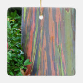 Rainbow Eucalyptus Tree Keramikornament (Rückseite)