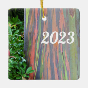 Rainbow Eucalyptus Tree Keramikornament