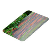Rainbow Eucalyptus Tree Magnet (Linke Seite)