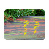 Rainbow Eucalyptus Tree Maui, Hawaii Magnet (Horizontal)