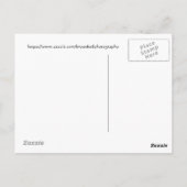 Rainbow Eucalyptus Tree Maui, Hawaii Postkarte (Rückseite)