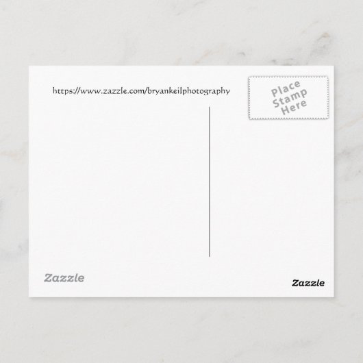 Rainbow Eucalyptus Tree Maui, Hawaii Postkarte (Rückseite)