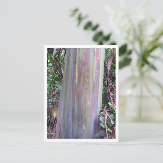 Rainbow Eucalyptus Tree Postkarte (Stehend Vorderseite)