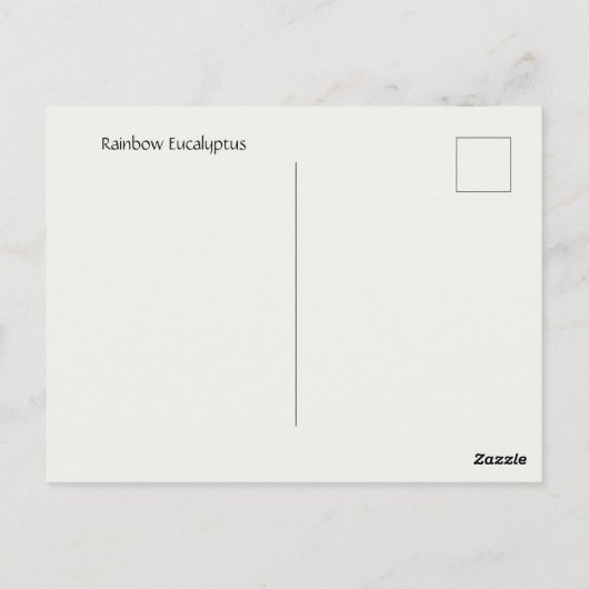 Rainbow Eucalyptus Tree Postkarte (Rückseite)