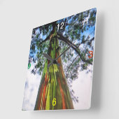 Rainbow Eukalyptus Tree Wall Uhr (Winkel)