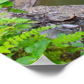 Rainbow Falls & cascade, Watkins Glen, New York Poster (Ecke)