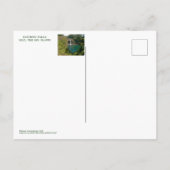 RAINBOW FALLS, HILO, HAWAII, GROSSE INSEL POSTCARD POSTKARTE (Rückseite)