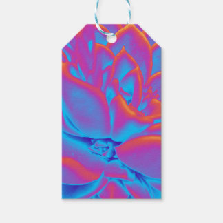 Rainbow-Farbe Sukkuläre Pflanze Geschenkanhänger