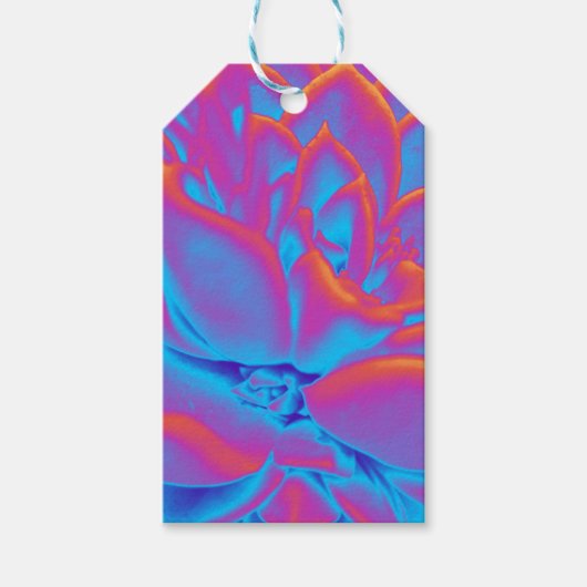 Rainbow-Farbe Sukkuläre Pflanze Geschenkanhänger (Vorderseite)