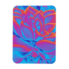 Rainbow-Farbe Sukkuläre Pflanze Magnet