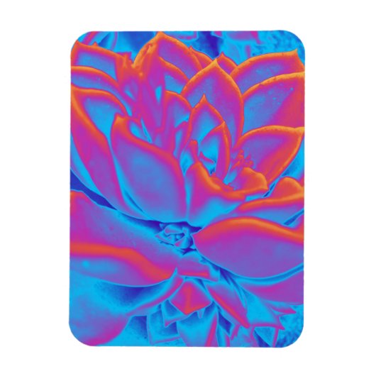 Rainbow-Farbe Sukkuläre Pflanze Magnet (Vertikal)