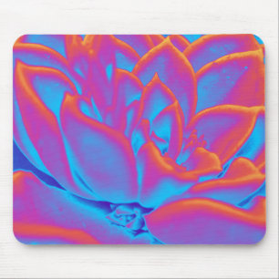 Rainbow-Farbe Sukkuläre Pflanze Mousepad