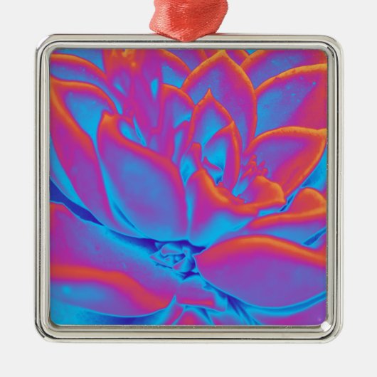 Rainbow-Farbe Sukkuläre Pflanze Ornament Aus Metall (Vorne)