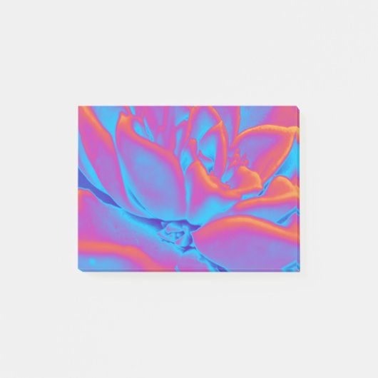 Rainbow-Farbe Sukkuläre Pflanze Post-it Klebezettel (Vorderseite)